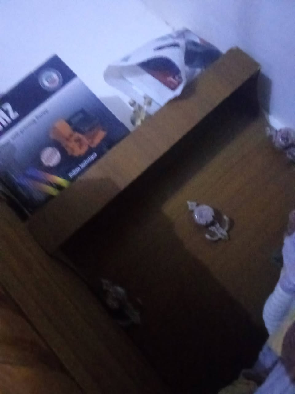 غرفه صاج تسكام نضيفه جدا كامله المكان كربلاء ٣٠٠ وبيها مجال والشراي يتفضل خاص


**إذا كنت صاحب هذا الإعلان وتريد حذفه لأي سبب، رجاءا أرسل رسالة إلى الدعم الفني**