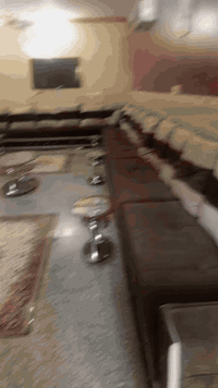 تخم سعر مناسب مليون1600الرقم 07865575097