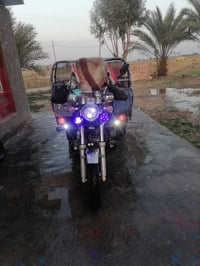 ستوته • موديل 2021 • اوراق اصلية