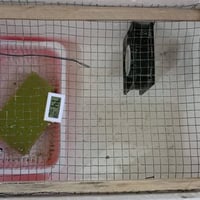 لبيع مفقص /07508727306-07728212108