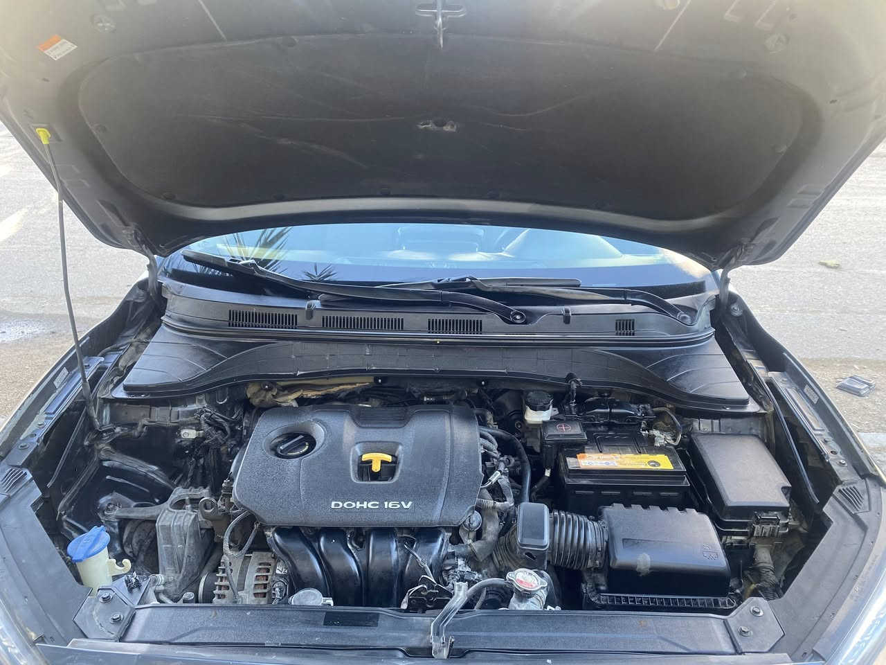 السلام عليكم
هونداي كونا ٢٠١٩ للبيع
مواصفاتها
محرك ٢٠٠ دوش تاخذ بانزين عادي ومحسن
مابيها ايرباك 
مابيها حجر بيئه
بيها بعض خدوش بسيطه
الاطارات نظيفه نوع MSشتائي وصيفي
ماشيه 66492 ميل
بيها صيانه كامله
بطاريه جديده وبلكات جديده ومجولات عدد ٢ ومروحه راديتر جديده وزيت المحرك 
السياره نظيفه جدا
مابيها اي غرامات
والسنويه ماساقطه
وسياره بسمي رقمها اربيل 
لونها رصاصي غامق (فيلي)
بيها وضعيه السبوتج للسرعه
التدفئه والتبريد شغال
سعرها ١٣٨ ورقه وبيها مجال 
يمكنكم الاتصال على الرقم
***********
عندي واتساب
علي
