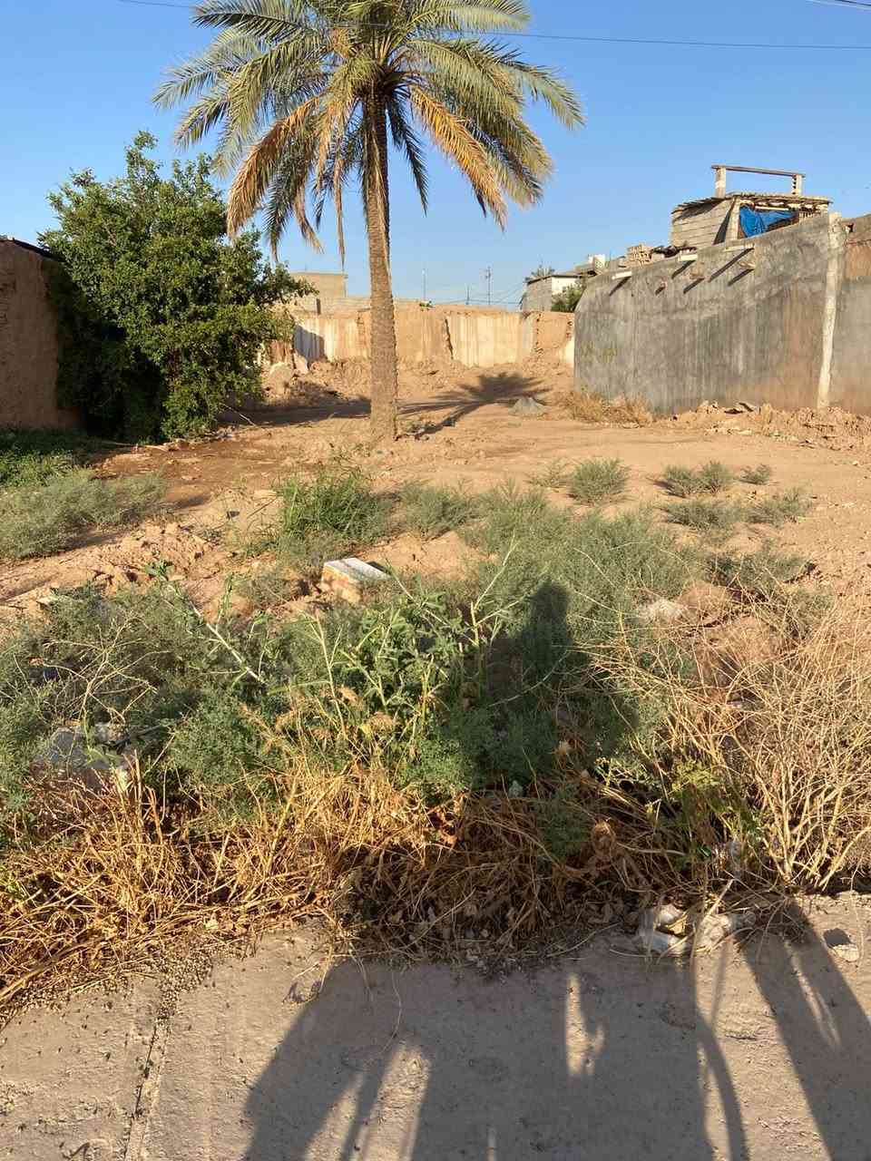 #اعلان
قطعه ارض للبيع مساحة 400متر 

#واجهه 15متر  العمق 27متر شارع صب كهرباء ماء واجهه مفتوح

#الجنس العقار زراعي يتحول طابو 

#العنوان ديالى خانقين حي اركوازي

#السعر 18مليون بي مجال

#اتصال مكتب علي الوندي للعقارات ومقاولات 

***********
