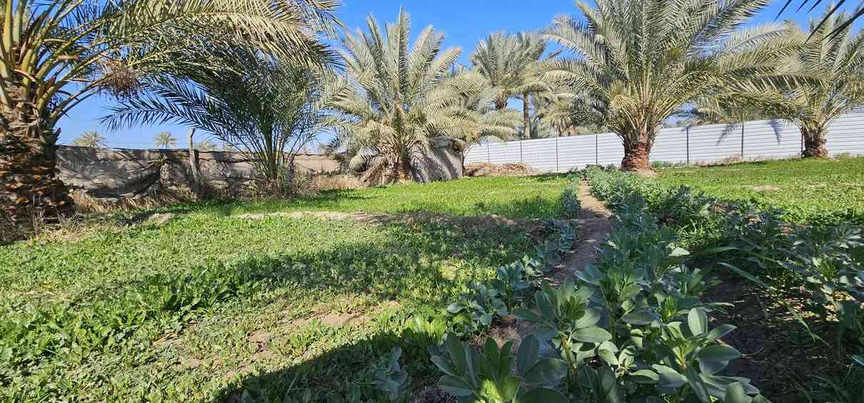 حياكم الله متابعينا الكرام... الملاك للعقارات كربلاء  ...
..... احلا عرض للي يردون أرض بموقع يتسم بالهدوء ....
💥 2 دونم واجهة كل دونم 60 متر والباقي نزال 
💥 طابو زراعي سند 25 تحويل أسهم بأسم المشتري 
💥 دونم مخدوم ودونم جاري الخدمة 
💥 يناعن كلهن أو أقل حسب رغبة المشتري 
💥 بالقرب من منتجعات ترفيهية عائلية خاصة 
💥 تصلح سكن أو منتجع ترفيهي جميع الخدمات متوفرة 
🛑 العنوان// كربلاء _ شارع النجف عمود 1141 _ منطقة الجذار _ تبعد عن الإمامين عليهم السلام 18 كيلو تقريبا 

هل لديك عقار للبيع؟ راسلنا.

بيع_شراء_العقارات_كربلاء

منازل وقطع سكنية وأراضي زراعية بمساحات مختلفة 

نستقبل عروضكم في مدينة كربلاء المقدسة 

كل المناطق داخل كربلاء 

شنــو عندك عقــــار للبيع  راســـلنا 🅿️

__________________
للاستعلام والاستفسار:

موقع المكتب: 
💥الزبيلية _ شارع الرابط _ مكتب أملاك الخير _ مقابل المعمل المقرنص الأوربي 💥

***********
***********      محمد أبو ملاك الحسناوي
