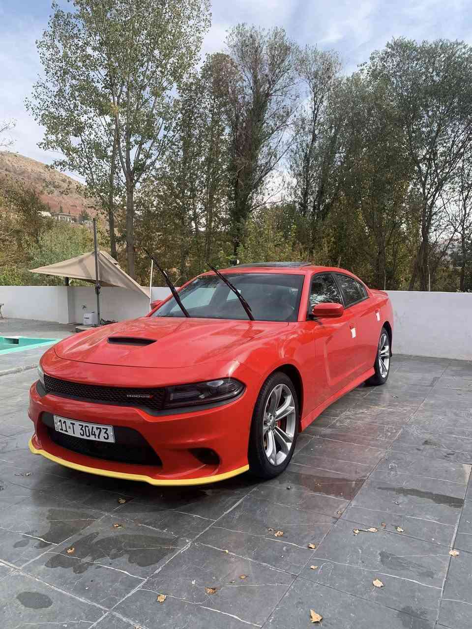 جارجر جي تي بلاص 2020 وكالة هارلم كفالة فقط رصعتين
50ml
فول 1على1 مكان بغداد *********** 
305ورقة
