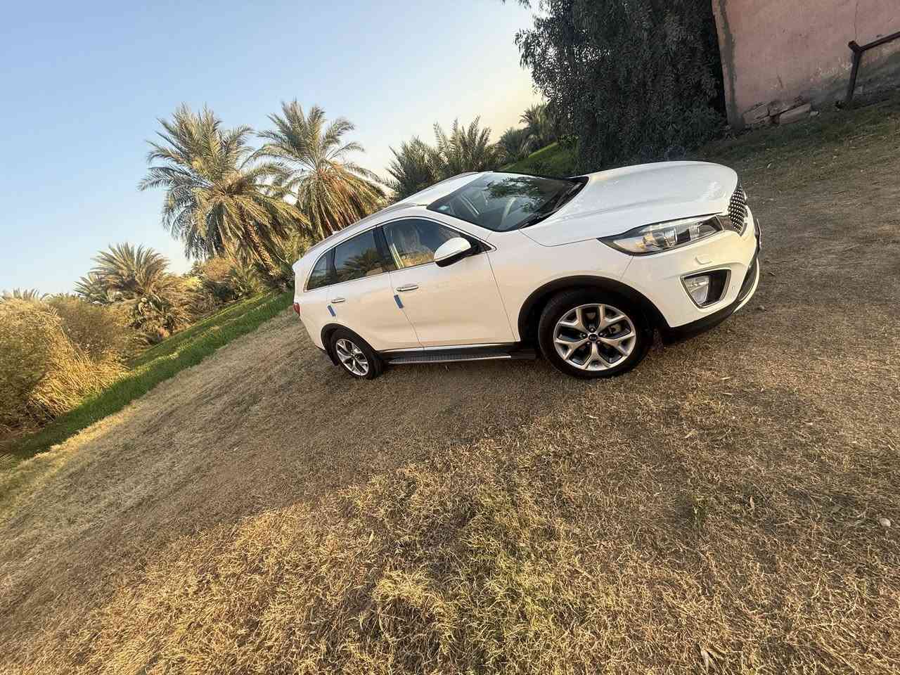 السلام عليكم 
سورنتو 18خليجي 6/كير محرك حداديه تبريد كفاله رقم بغداد سنوية جديده مشروع وطني مواصفات السياره بصمه أبواب كشنات جلد 7راكب 3قطع تبريد زراك لايت السعر 235وبيه مجال أو مراوس حسب القناعه مكان السياره ديوانيه ***********
