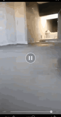 سلام عليكم نجارينه حدادينه احنه جماعته الصب اليدوي عدنه كادر عمال نشتقل جميع القياسات الي عنده تصليطه صطح صبت نظافه رباطات بيتونه ناخذ قياس الصب ونترك السيراميك تنضيف حدل تقطيع جونات وينات احنه بل خدمه ***********
