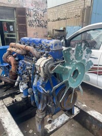 مولد سكانيا • ١٧٥ • الزبير الجديدة