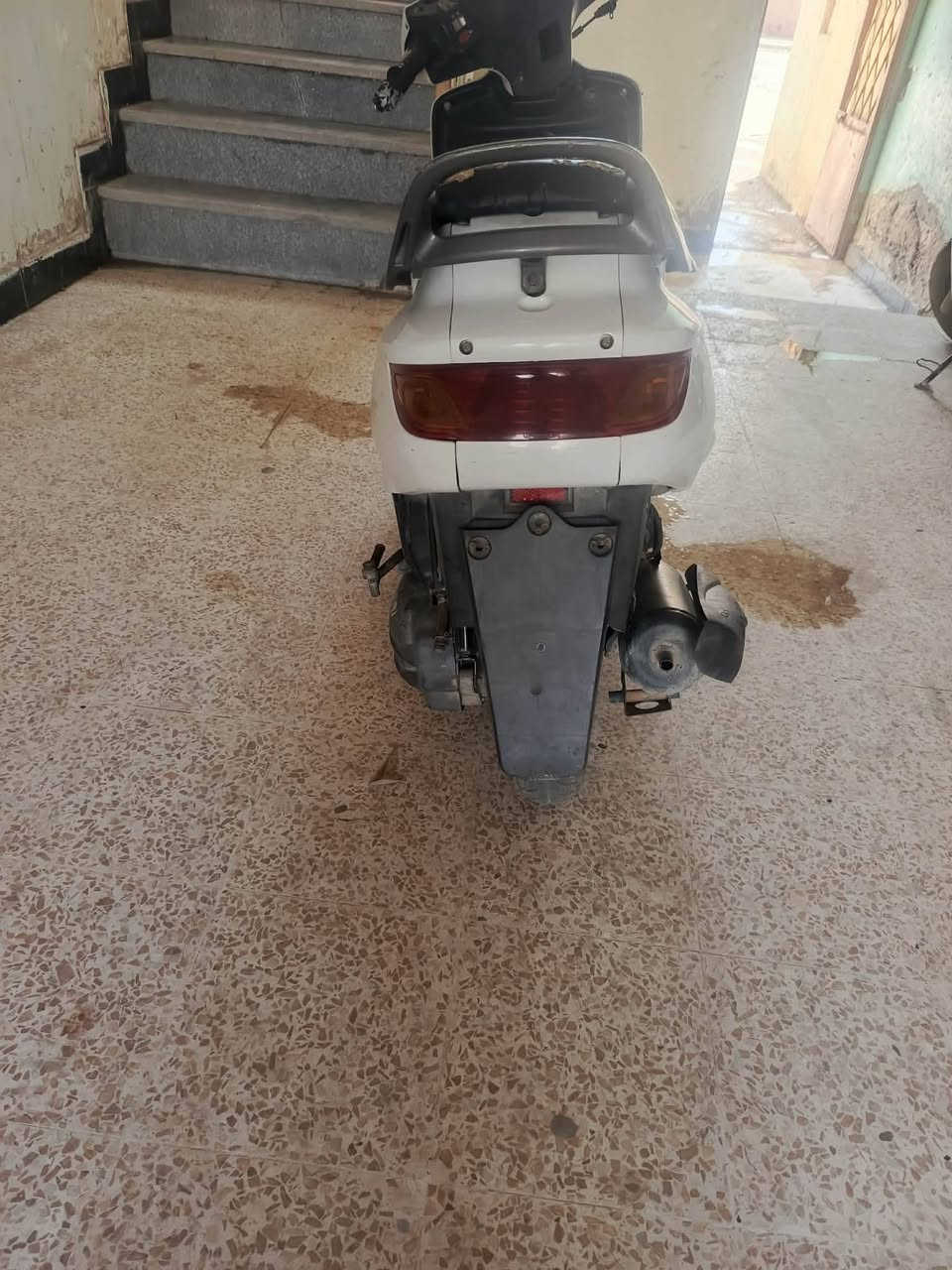 السلام عليكم فراشا لل بيع دراجه جاهزه من كلشي الدراجه مافتوحه نضيفه سلف نكره واحده كهربايت كله شغاله مابيه ايشي السعر ٣٠٠ وبيه مجال حك الجيه ***********
