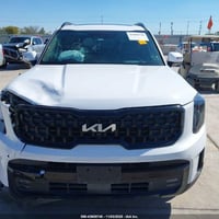 تيلورايد • ٢٠٢٤ • كتاب ذوي الشهداء