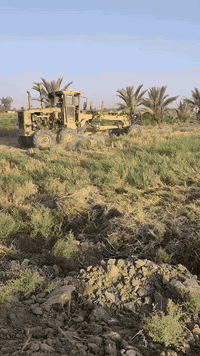 كريدر كوماتسو 605 رقم بغداد ألماني جاهزة وتبريد شغال محرك ستندر صفاح بلادي مكفولة كفالة عامه من الصبغ والحيم السعر 200$ بيها مجال العنوان بغداد أبو غريب الحصوه ،هاتف ***********
