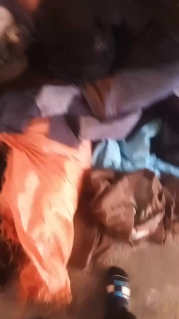 السلام عليكم شباب قماصل وجاكيتاات باله لبيع مال كبار وصغر تقريبن60قطعه كلهن رايدهن ب٢٥لاف مكان كركوك ملاحظه تره كامره مة واضحه


**إذا كنت صاحب هذا الإعلان وتريد حذفه لأي سبب، رجاءا أرسل رسالة إلى الدعم الفني**