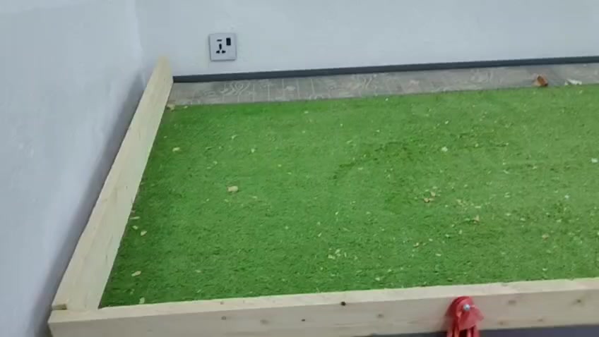 السلام عليك عندي ميازة مال علوة مال المخضر للبيع

عنواني  بغداد -***********
