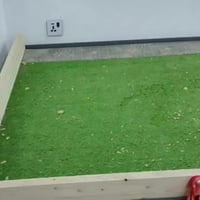 السلام عليك عندي ميازة مال علوة مال المخضر للبيع  عنواني  بغداد -07704...