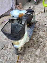 منغولي • شغاله • كربلاء حي العسكري