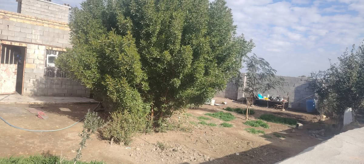 سلام عليكم لارض البيع 6دونم بيه ثلاث بيوت وربع حقول كلشي متوفر كل خدمات ماء كهربا تبليط  مكان بين القلعه ول عزير قريت جمشه  تواصل ***********
