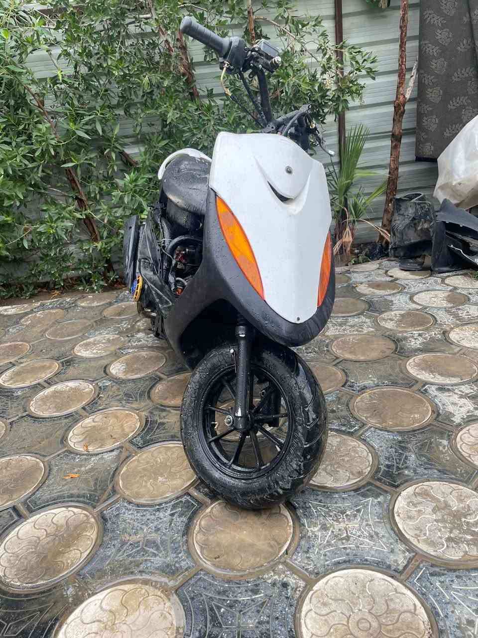 ماكس عدلة مال لعب سلف هندر شلعة معدل كور ولفين كبار   بوشة ٥٥ سعر ٣٠٠ مكاني بغداد شارع فلسطين ***********
