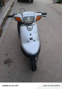 زعره • خطين • شغاله