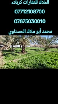 كربلاء الجذار • ٢ دونم • طابو زراعي
