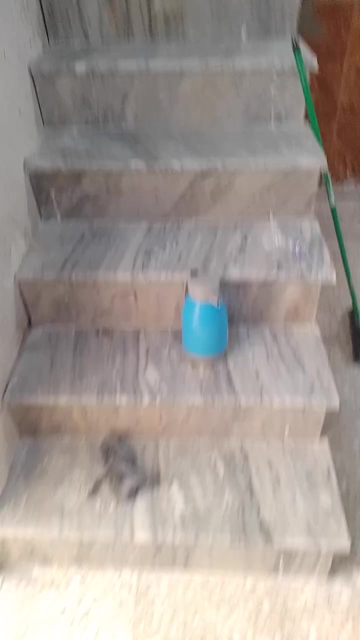 سلام عليكم خلفة سراميك جدران ارضيات مرمر بورسلين 

بايات درج عمل لوح بورسلين ترميم بيوت لتزام بل عمل 

سعر مناسب شغل درجة والى متفرغ حالين مكاني بغداد 

***********
