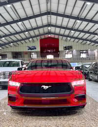 موستانغ اكوبوست • ٢٠٢٤ • ١٦٠٠٠ كم