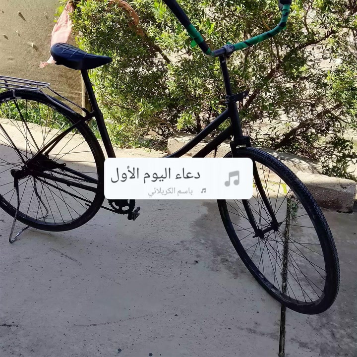 باسكل درجه اوله للبيع كلشي مابي السعر 35 وبي مجال مكان بابل قضاء القاسم منطقه  للستفسار اتصل على الرقم التالي 
***********
