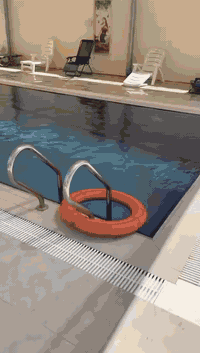 السلام عليكم 
#مزرعة جاهزة #للبيع
مكانهة بغداد /عرب جبور /مساحه نصف دونم سند 25 طابو البياع 
خدمات كامله تبليط كهرباء مي مجاري كله كامل
 باقي التفاصيل بالفديو 
للاستفسار 
***********

***********
