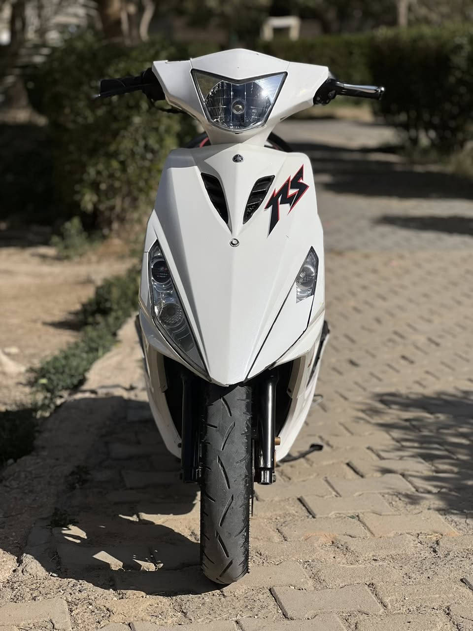 سلام عليكم شباب
⭕️للبيع فقط ماكس مضلع الدراجه رمبه طلعته قبل الاربعينه ب 3 ايام مكينته كلش قويه كلج خلفي رياضي البارحه سويتله ادامه غسل وخرز وفايبرات وكرزته تايرات جديد انه شديتهن ويل رياضي تايوان كشن رياضي لايت LED باتري جديد غراضه كله بلاديه ومختمه شرط الدراجه كله كفاله ماعدا نظافة الكفر 70‎%‎ 
متوازي على بيعته رايده ب 850 وبيه مجال 
مكاني كربلاء المقدسه الحر شارع الكابينات ***********
وشكرا ❤️
@إشارة
