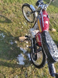 رابيدو • شاصي نامه • معمره 24