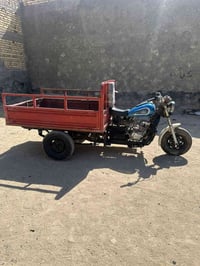 ستوته • ٢٠١٣ • اوراق كاملة