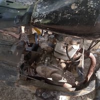 ستوته • بدون أوراق • دوانيه دغاره