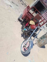 ستوتات • نضيفه • اوراق ضايعه