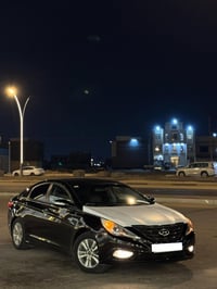 ٢٠١٣ • كسر كارتون • بصرة