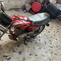 ارشا • ٢٠٢٠ • اوراق اصلية