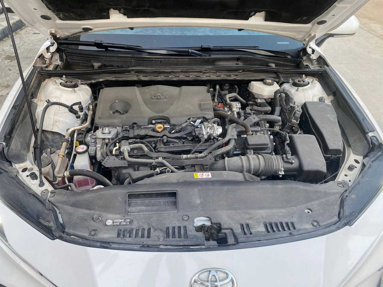 سلام عليكم كامري 2025  صبغ بنيد وجامرلغ  ***********
