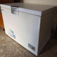 مجمدة • للبيع