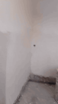 لبخ جص • سمنت وسقل • ديوانية