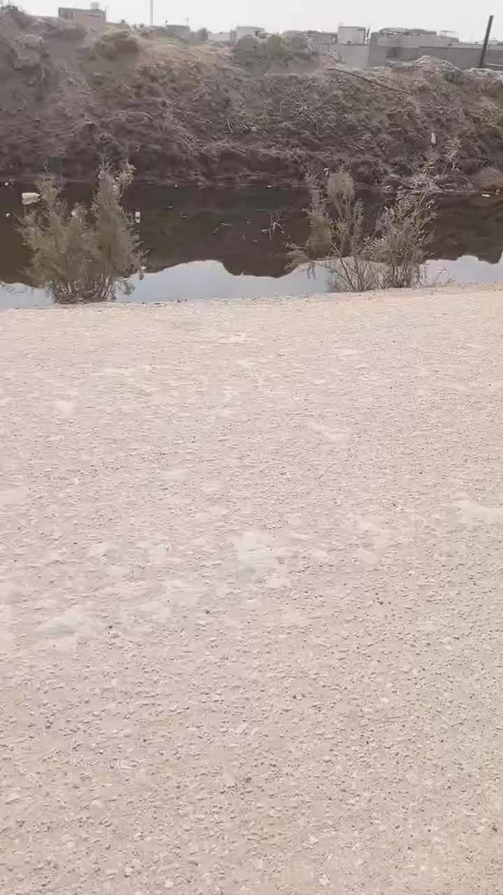 بيت زراعي للبيع هيكل مساحة 92 متر نزلت ال صحن مقابيل حي الجوادين عمود 46 شارع  التبليط عوزه تشطيب لبخ ومخمر وسراميك وعكادة دوانيه وبيتونه 26 وبي مجال ***********
