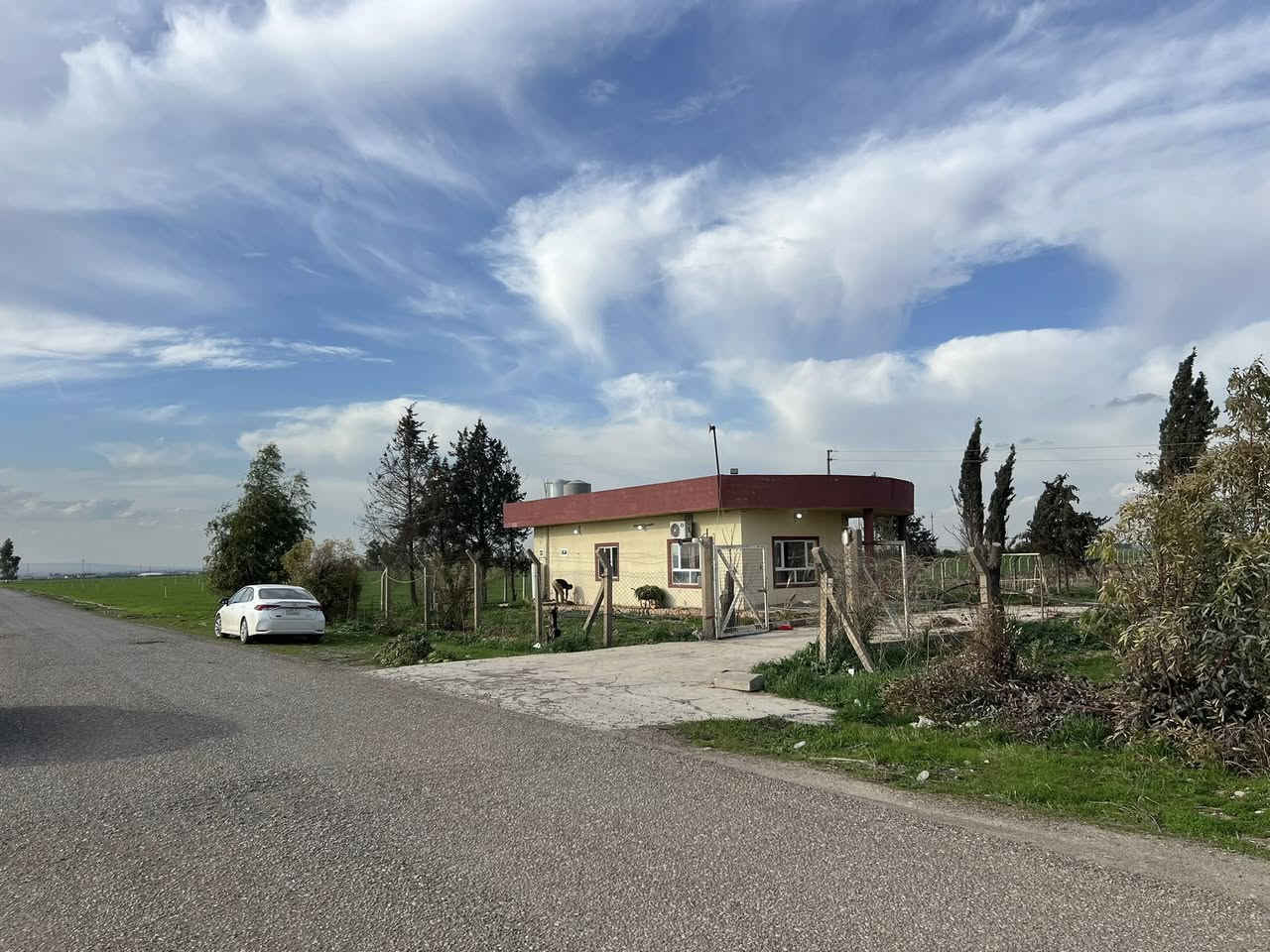 مشروع استثماري 

مزرعه للبيع 

مساحه 16 دونم مسيج (نوع سياج BRC)

تقع المزرعه في قرية بيباني تبعد عن شارع العام طريق كركوك -اربيل 6كم

يحتوي المزرعه علي 3 بيوت ومخزن 

بيت مؤثث مساحة 170م 

بيتين صب بصيط للحرس مجهز كهرباء وماء

يحتوي المزرعه علي بير ارتوازي بعمق 250mوغطاس 4 أنج 
وماء صالح للشرب

يحتوي المزرعه علي تانكي ماء ب سعة 33الف لتر 

يحتوي ايضا علي محوله كهرباء 100 KV

يحتوي المزرعه علي حوض سمك بمساحة 4 دونم 

يحتوي المزرعه علي بستان عنب قمريه 3 دوانم يضم اشجار عنب (زيتوني -حلواني -سلطاني) 1200شجره بعمر 15 سنه. 
مؤثث البستان بأحواض سقي موزعه ببواري 2.5انج كامل 
البستان 

ويحتوي علي اشجار (تين) نوع ( تين اصفر بعدد 450 شجره 
بعمر 15سنه) سقي بطريقة الاحواض موزعه ببواري 2.5انج 

ويحتوي علي 300 شجره منوعه من (رمان -تفاح-مشمش) طريقة الري ببواري 2.5انج 

المزرعه منتجه والها وارد سنوي من البساتين 

المزرعه جاهزه يحتوي علي گراج صب مساحة 100متر 
وحاويه عدد 2 وسقيفه 

وايضا الشارع تبليط لحد المزرعه 

المزرعه طابو صرف زراعي بشرط الوكاله من صاحبه الشرعي 

ملاحظه ( البير مجازه من قبل دائرة الزراعه في قضاء التون كوبري الكهرباء مجاز بأوراق رسميه )

للاستفسار الاتصال 
***********
