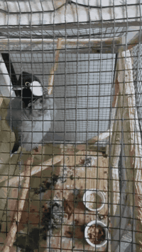 للبيع ***********
