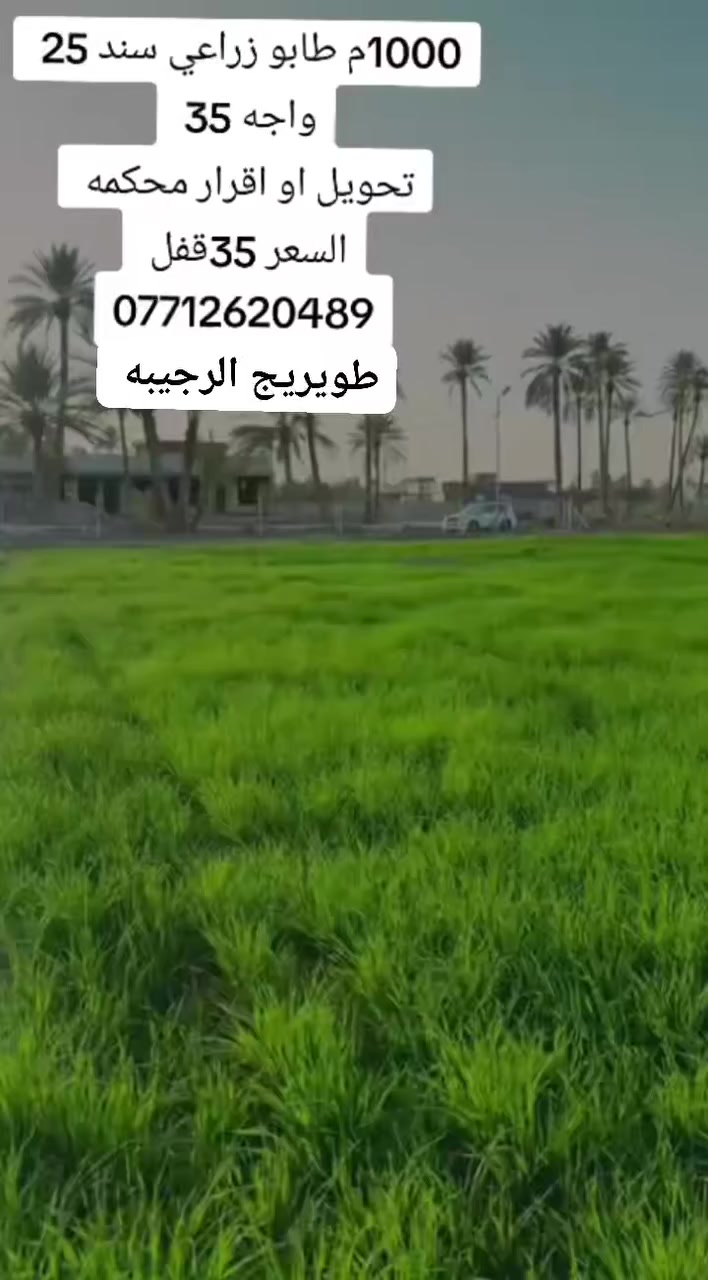 1000م للبيع طابو زراعي 25تحويل مباشر او اقرار محكمه
الواجه 35م مزروعه وخدومه وجد مساحات اكبر كافه الخدمات العنوان /كربلاء طويريج الرجيبه
السعر 35قفل 🚫🚫➡➡

🛑الارقام التاليه او واتساب 🛑
[[***********سيد مجتبى ]]
[[***********سيد حسن ]]

🏠🏠مراجعه مكتب سيد مجتبى الحسيني الهنديه الجدول الغربي الرجيبه قرب محلات جوجو
متابعه البيج فضلا ➡️
