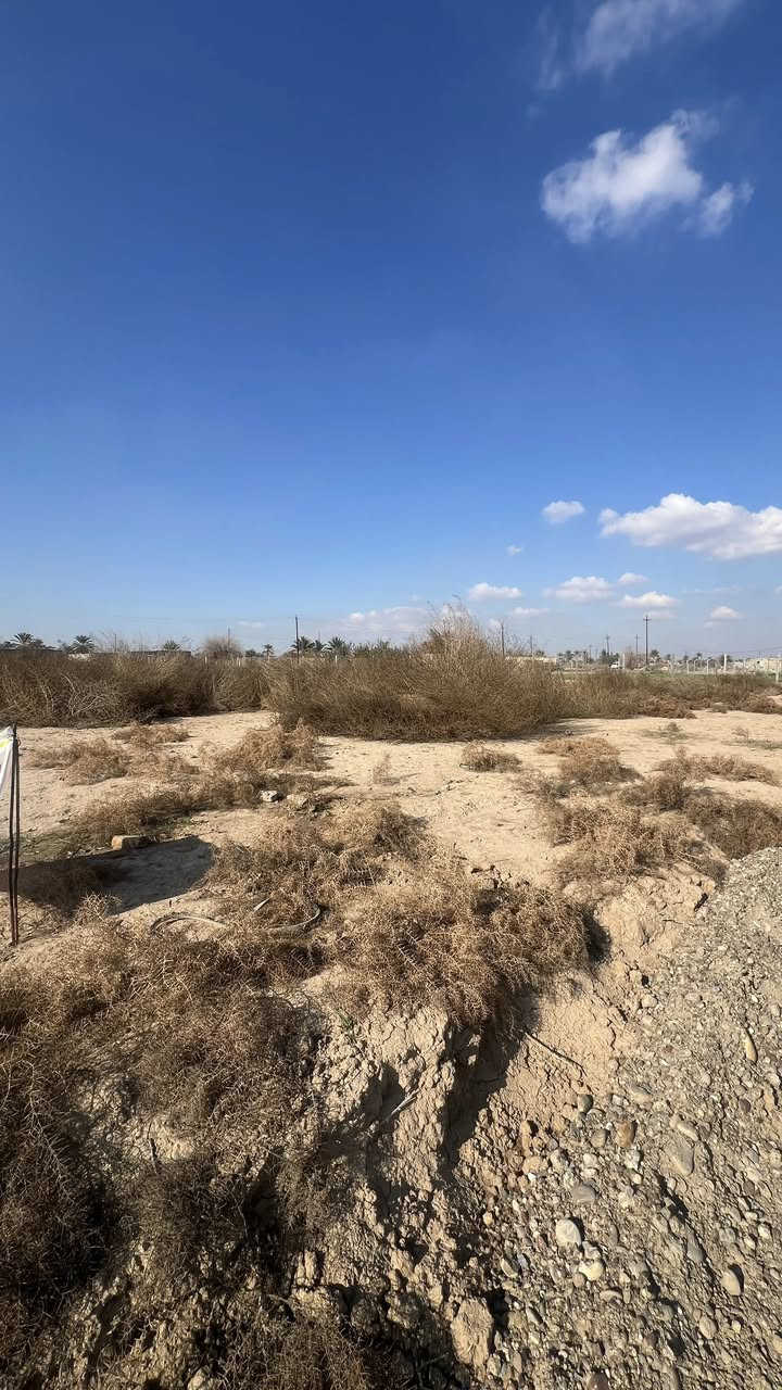 قطعة ارض للبيع طابو زراعي
قضاء بلد قرب مدخل 5
مساحتها 2500M قرب المزراع 
وقريبة على الشارع العام
للاستفسار ‭***********‬
