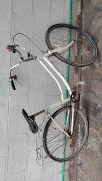 باسكل • حجم ٢٦ • مجال بسيط