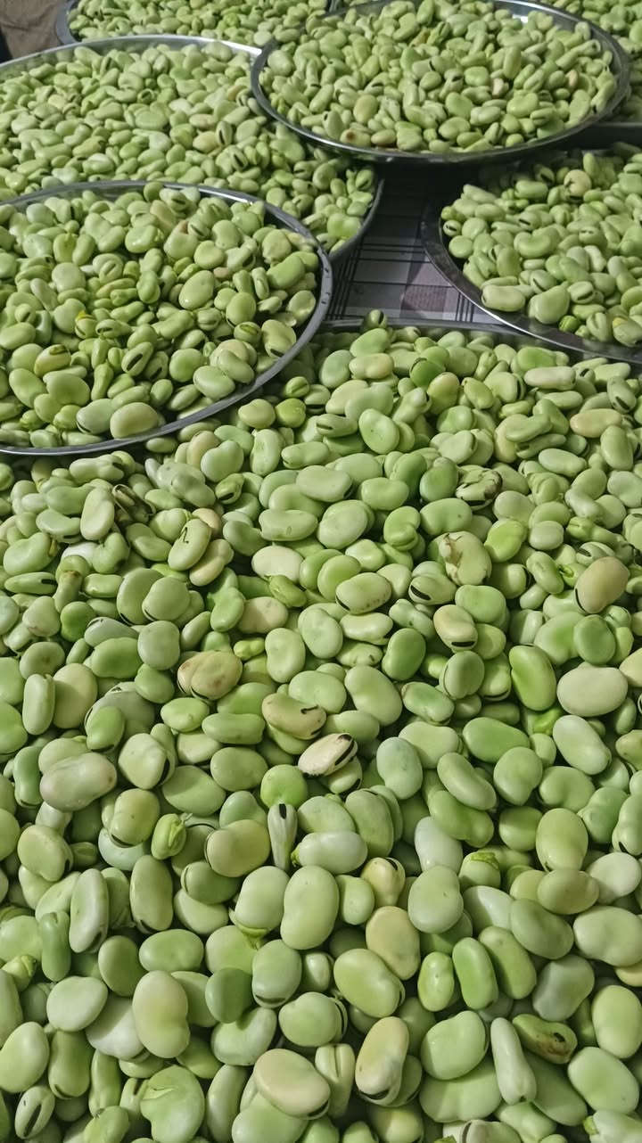 صباحو صباحو 
اليوم الحجز مفتوح على الباكله 
يله حجزن شمنتظرات


**إذا كنت صاحب هذا الإعلان وتريد حذفه لأي سبب، رجاءا أرسل رسالة إلى الدعم الفني**