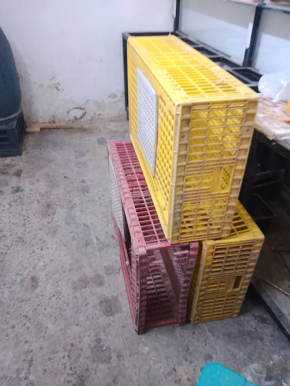 غراض محل دجاج حي للبيع كامل شلع  موجود السعر 800وبيهن مجال  الف اي استفسار اتصال *********** بي واتساب ميزان كتروني
