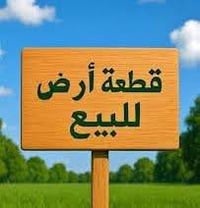 ٥٣٤م • وجه ١٤ • حجي حسن الثانيه
