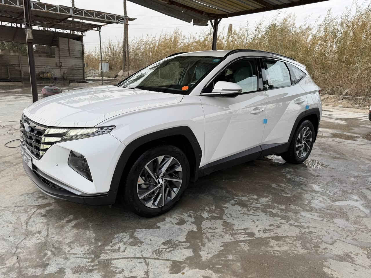 السلام عليكم ورحمة الله وبركاته 
للبيع توكسان 2024 خليجي ضمان شركة الاولى 
مكفوله كفاله عامه 
￼رقم بغداد الجديد 
فول عدا البنوراما 
داخل ابيض 
كارتون السيارة جديده اكثر من الصور 
تخم تاير الشركة جواها 
سبير والعده ونايلون الشركه بعده بيهه
تشغيل عن بعد 
شاحن واير لس
مود درايف
واوتوهولد
نظام المنحدرات 
نظام الجبلي
سايد بريك دكمه
فول تحكمات 
حساس امامي
حساس خلفي
كامره متحركه 
شاشه اندرويد 
بردات خلفيه
برده صندوك
لايت زنون ولد متحرك
كيجات شاشه ايباد 
مقاعد اماميه كهرباء 
تبريد قطعتين
5 ويل كب 
مكينه 2000
اريل نفكيشن
وبقيه المواصفات المعروفه 
السياره اكرر كلش جديده 
مكان السياره بالحله 
السعر 220 وبيه شي بسيط
للاتصال 
***********
