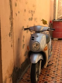 دراجة فلة • مكفولة • ختم واحد