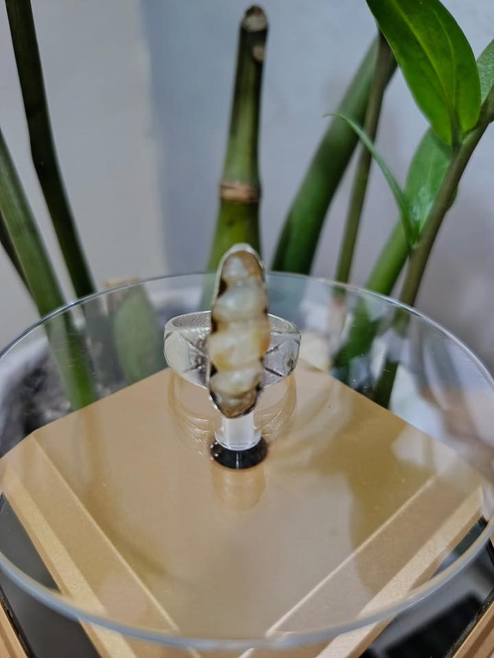 السلام عليكم ورحمه الله لوي سليماني قديم جداً مكاني بغداد ***********
