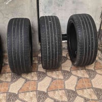 تخم كوري اصلي نظيفات حجم ٢٢٥ ٤٥ ١٩ للبيع 07853092637