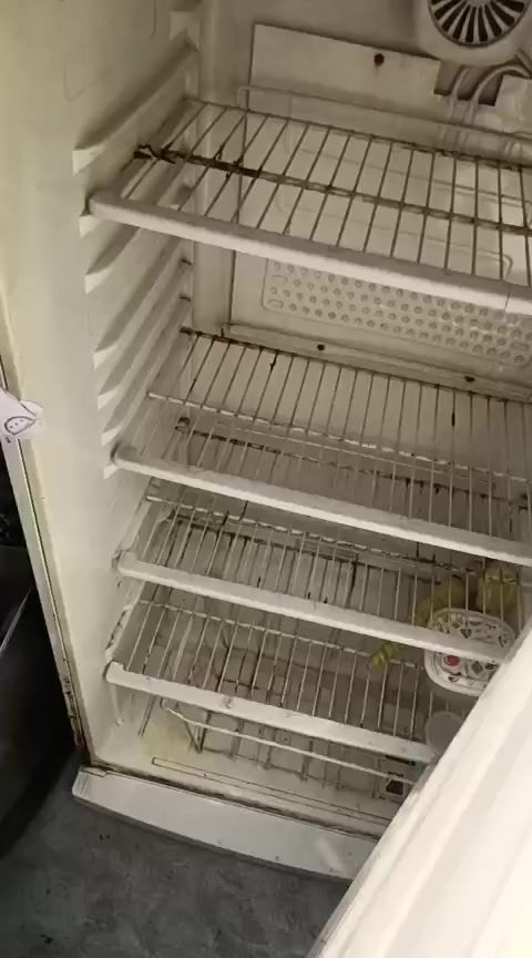 ثلاجه نوع بيكو جاهزه مانقصها شي ١٨قدم
مكيف نوع ميديا مامستعمل هواي نص موسم مامفتوح برغي بي مكان بغداد جاهزات ثنينهن 
السعر خاص او اتصل ***********
